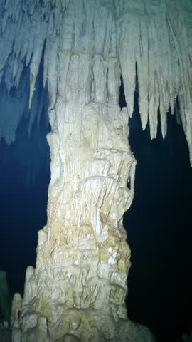A large tree made of white rocks and stalactites. The tree is in a dark cave