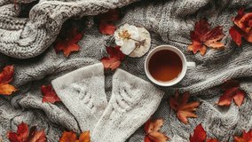 Cozy Autumn Scene with Warm Socks and Leafy Blanket - Powered by Shutterstock - Get 15% off with code: PIKWIZARD15