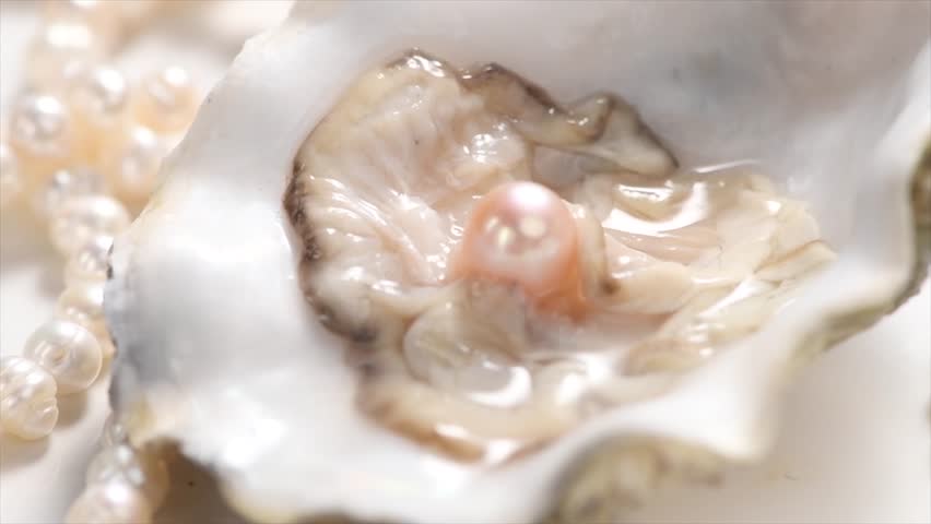 Pearl, Natural pearls inside the oyster shell, close up, rotating. Nacre. Mother-of-pearl. Jewellery. Slow motion. 