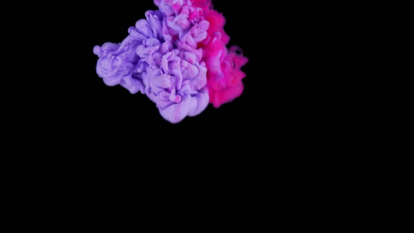 Tranquil Pink Ink Clouds on Dark Canvas. Pink and Purple Ink Mixing In Water. Slow Motion. Black Background. Abstract Motion Backdrops, Art Effects.