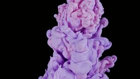 Tranquil Pink Ink Clouds on Dark Canvas. Pink and Purple Ink Mixing In Water. Slow Motion. Black Background. Abstract Motion Backdrops, Art Effects. - Powered by Shutterstock - Get 15% off with code: PIKWIZARD15