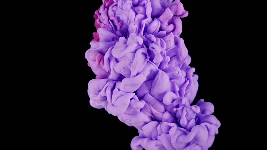 Tranquil Pink Ink Clouds on Dark Canvas. Pink and Purple Ink Mixing In Water. Slow Motion. Black Background. Abstract Motion Backdrops, Art Effects.