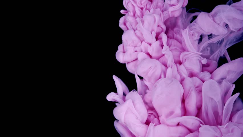 Tranquil Pink Ink Clouds on Dark Canvas. Pink and Purple Ink Mixing In Water. Slow Motion. Black Background. Abstract Motion Backdrops, Art Effects.