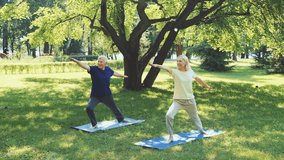 Elderly couple practicing yoga outdoors in peaceful park. Trees and greenery create serene atmosphere. Concept of active aging, wellness and outdoor fitness. - Powered by Shutterstock - Get 15% off with code: PIKWIZARD15