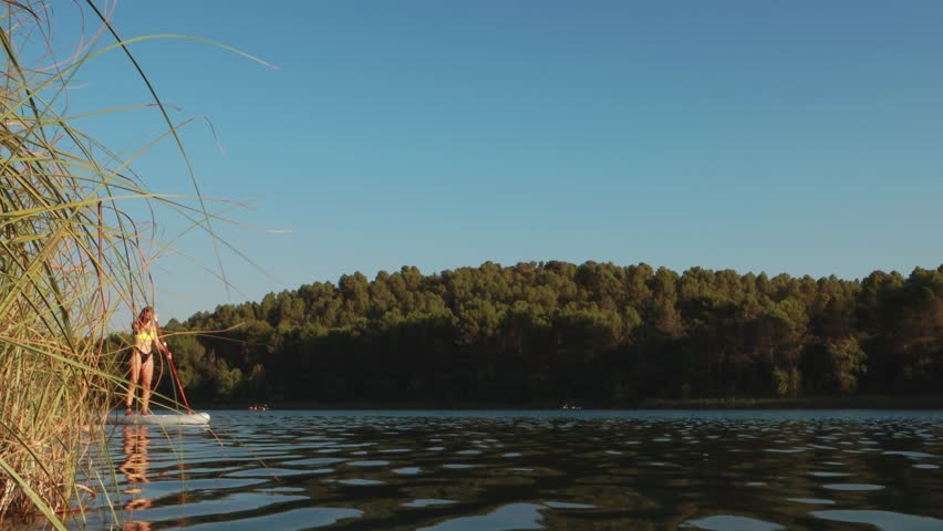 Girl Tourist on SUP Board with Paddle in lake at Colorful Sunrise, Active Vacation, SUP Boarding, Lifestyle.