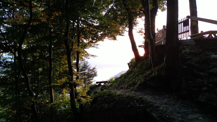 A drone shot emerging from a forest to overlook a sunset over a lake. Shot in Switzerland.