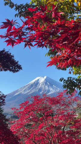 Mount Fuji framed by red maple leaves during the autumn season in Fujiyoshida, Japan. 