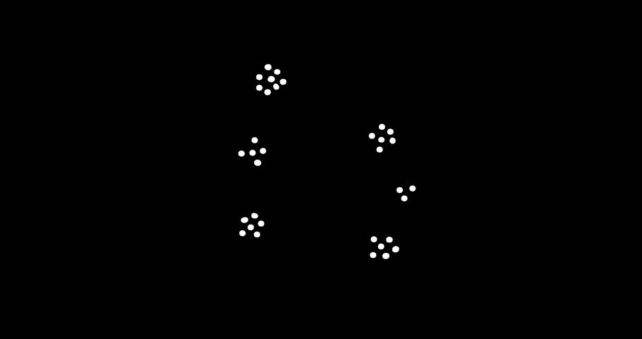Decoration firework, line hand drawn doodle animated on black background. Abstract festive sketch shiny light star for celebration holiday. Decorative burst. Video 4K motion graphic  loop animation