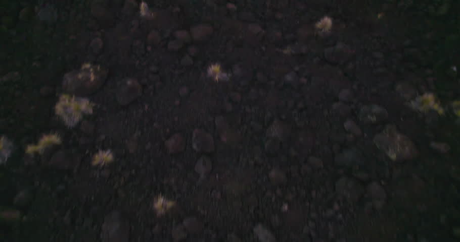 Tilting up aerial view of field in Kona Hawaii