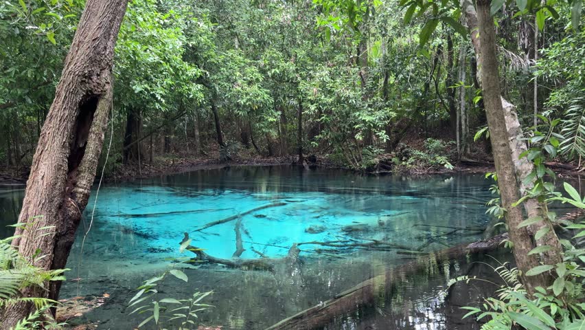 Bright blue Blue pool hot spring in Emerald Pool at Krabi province,Thailand.