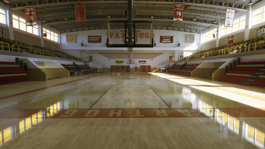 super cool 3d basketball stadium