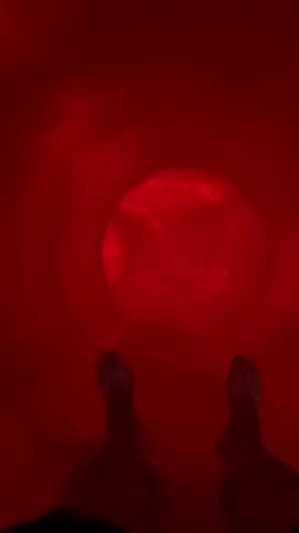 Shutterstock Video