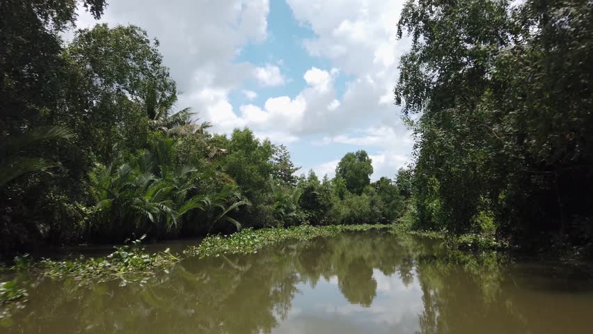 Speedboat ride to Mekong Delta from Ho Chi Minh City, Vietnam along canal featuring, sunshine, lush vegetation, and beautiful reflection of sky in water.