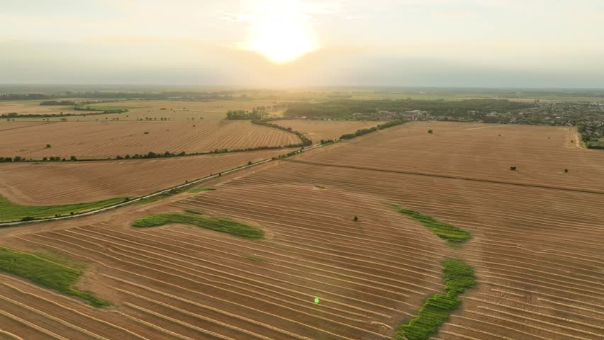 Aerial drone view of harvested wheat agricultural land during summer. Flying above wheat agricultural land