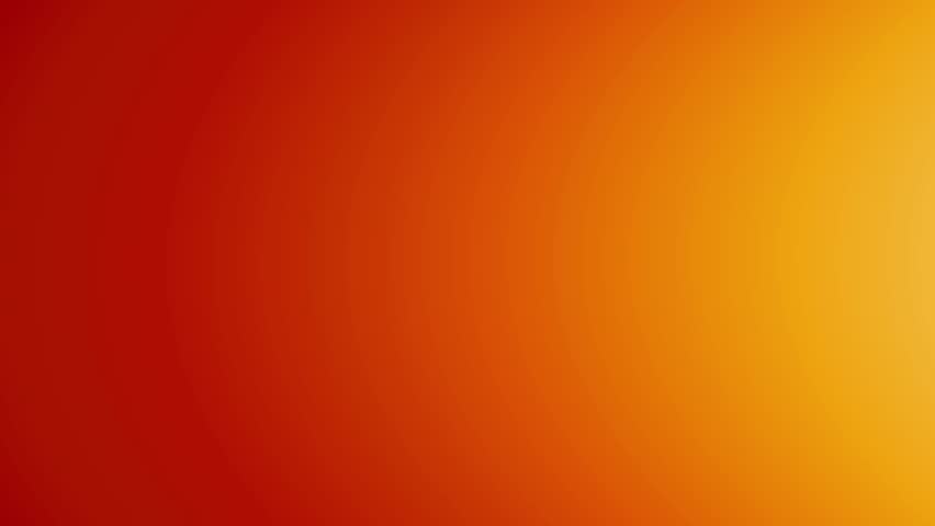 Shutterstock Video