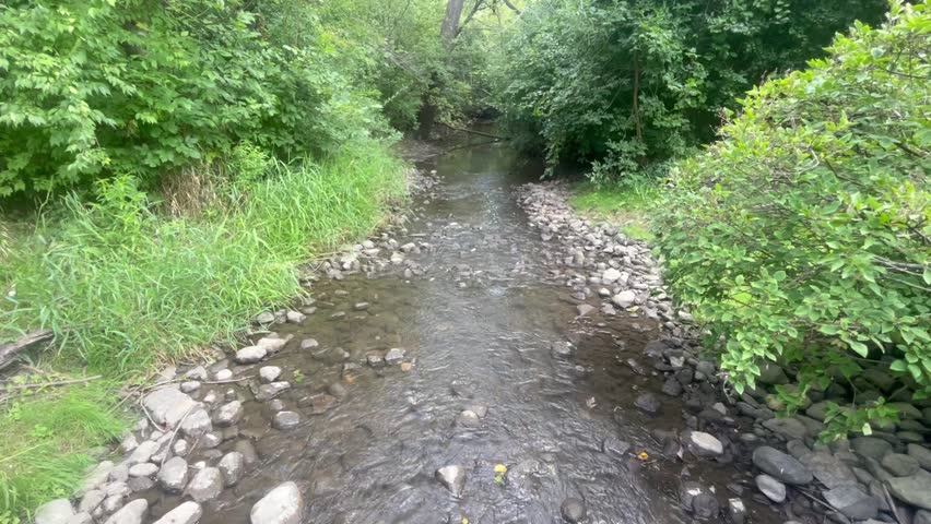 Calm stream of water flowing 