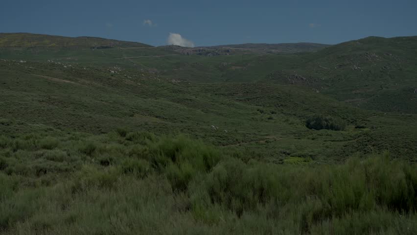 Expansive green hills under a bright sky, with dense vegetation covering the landscape