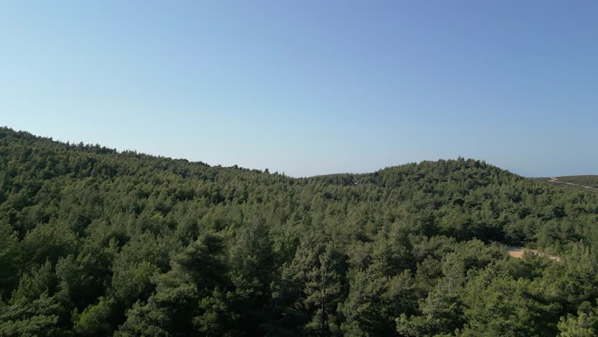 Establishing shots of nature scenes, forest setting, densely growing trees under clear blue sky, in the background hills with pathways, some houses inside forest, zoom in