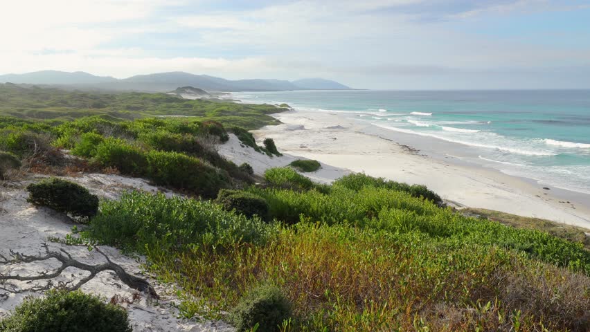 Panoramic views across white sandy Friendly Beaches in Tasmania, Australia