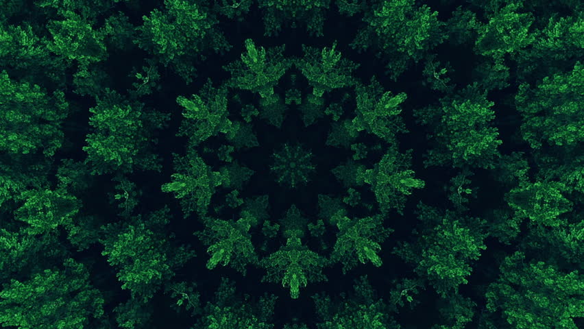 Nature mandala. Green foliage symmetrical kaleidoscope design looped animation on black dynamic abstract texture background.