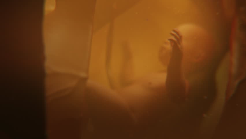 3D animated graphics of baby developing in mother womb and amniotic fluid inside abdomen. Fetal development from conception to the birth. Human reproductive system. Pregnancy and motherhood concept.