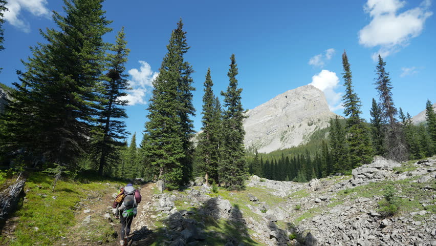 Hiking in Wilderness of Canada. Back View of Woman With Backpack on Trail Under Pines and Mountain Peak