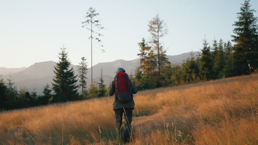 Rear view wide angle steady shot of man walking on grassy meadow hill overlooking mountain peaks lit with warm sunrise light, red backpack. Male backpacker travel explorer, sunny summer morning
