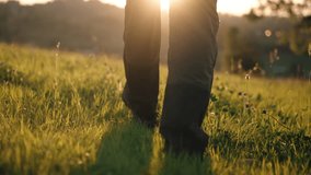 Rear back view steady shot male feet stepping on grassy meadow hill overlooking mountains in sunrise or sunset light. Man wearing hiking boots walks on clover grass. Male hiker explorer, sunny morning - Powered by Shutterstock - Get 15% off with code: PIKWIZARD15
