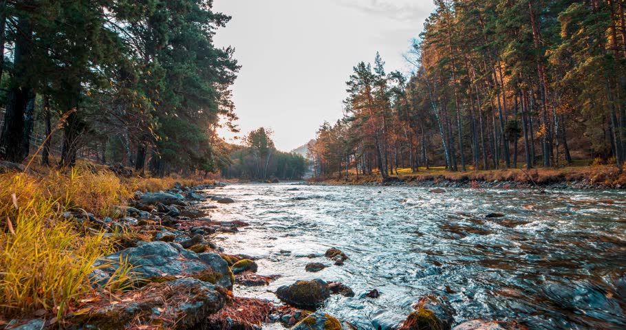 4K mountain river timelapse at the summer or autumn time. Wild nature, clear water and rural evergreen valley. Sun rays, small creek and yellow grass. Motorised dolly slider movement