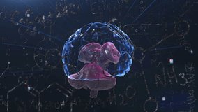 Human brain animation over mathematical equations and scientific data. Science, mathematics, neuron, cognitive, intelligence, visualization - Powered by Shutterstock - Get 15% off with code: PIKWIZARD15