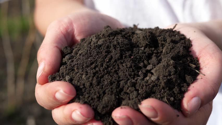 Close-up of a farmer