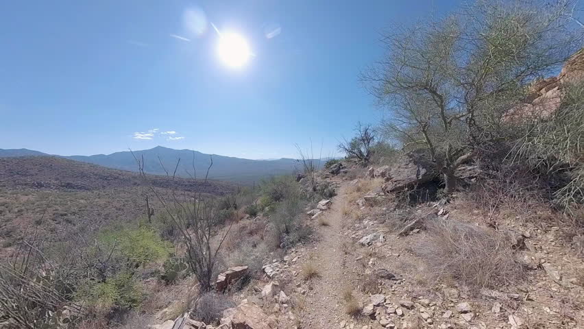 Shelf Trail in the Lower Saguaro Mountains in Saguaro National Park