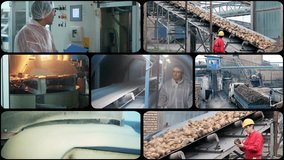 Sugar Manufacturing - Multiscreen Video Montage. Warehouse Worker at Work. Sugar Bag Palletizing and Pallet Wrapping. Sugar Factory. Sugar Packaging Line. - Powered by Shutterstock - Get 15% off with code: PIKWIZARD15