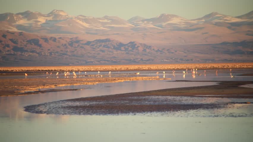 The best landscapes and tourist attractions of Calama, Chile