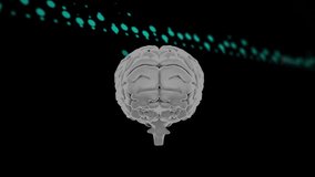 Brain animation over digital data and binary coding. Technology, artificial intelligence, innovation, code, neural, network - Powered by Shutterstock - Get 15% off with code: PIKWIZARD15