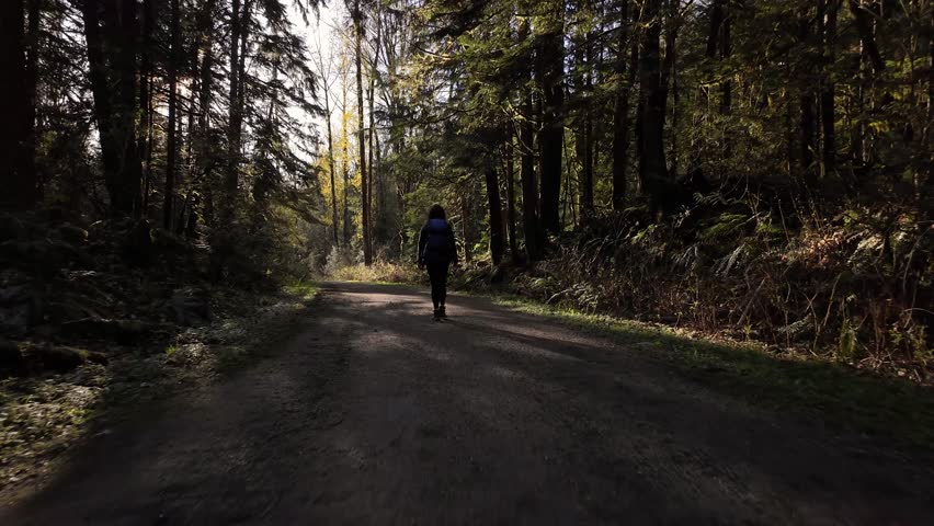 A woman hikes solo on a dirt trail in a Pacific Northwest forest. The sun is peaking through the trees, casting shadows on the path. British Columbia, Canada.