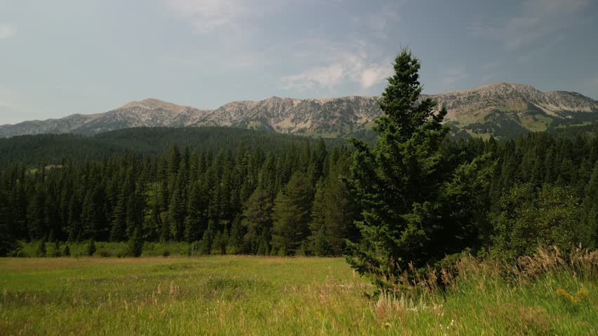 Aerial of Bridger Mountain Range in Montana in summer by Bozeman