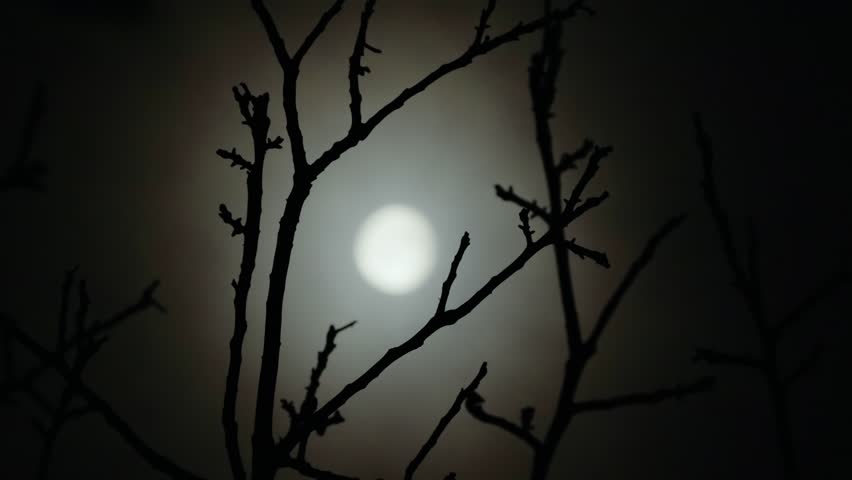 Full moon in the branches of a tree without leaves, a dark cloudy night has an spooky feeling like thriller and horror films.  Halloween night. Real shooting through a telephoto lens