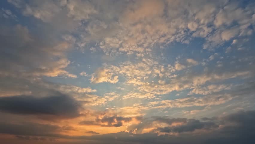 Shutterstock Video