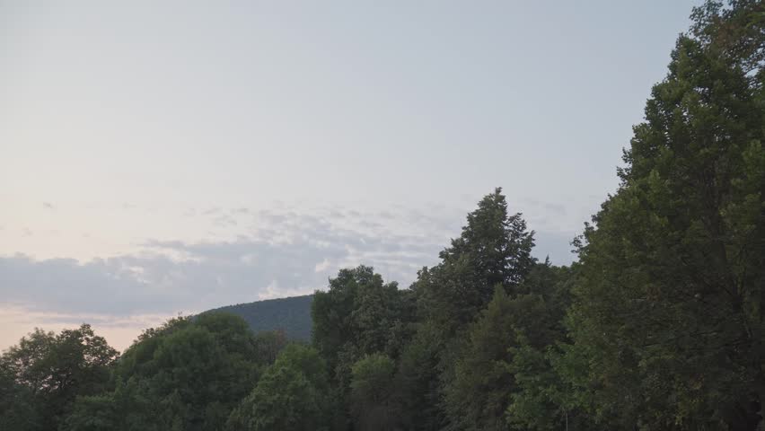 Establishing shots of nature scenes, park setting, a pathway winding through a grassy area surrounded by tall trees, with hills in the background under a soft, evening sky, tilt down.