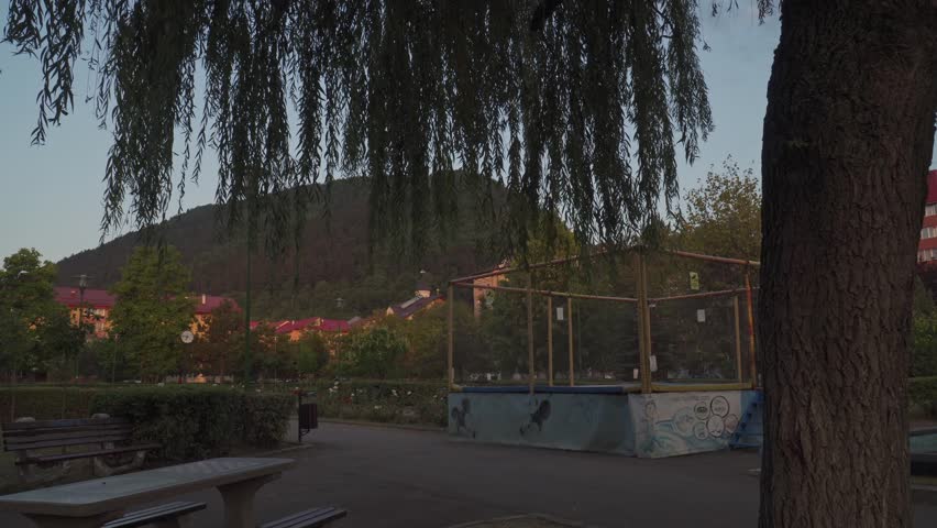 Establishing shots of nature scenes, park setting, a view of a beautiful park with a willow tree and buildings visible in the distance under a blue sky, pan left.