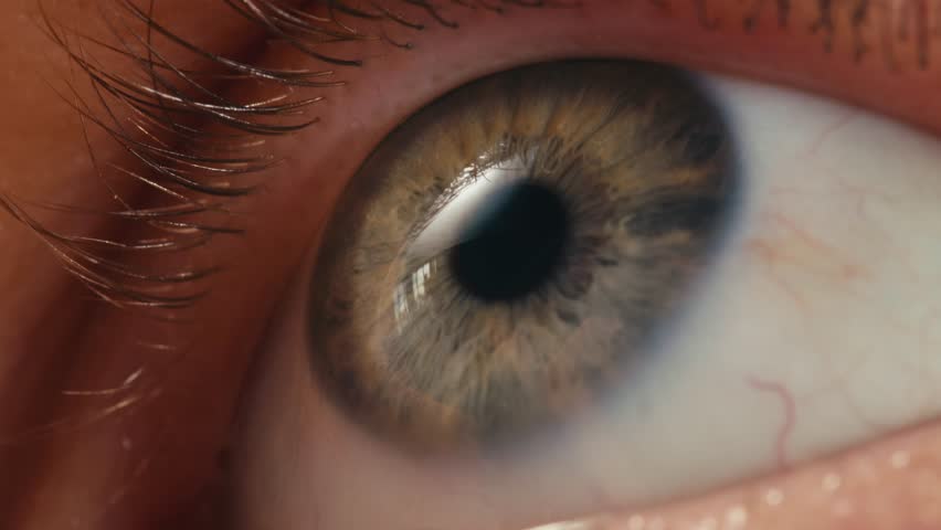 Macro photo of a detailed blue eye with strong gaze, showing human anatomy and beauty