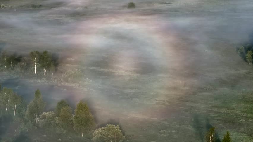 Aerial close up view of rarely seen weather phenomenon ringed glory on a thin layer of fog. Estonia.