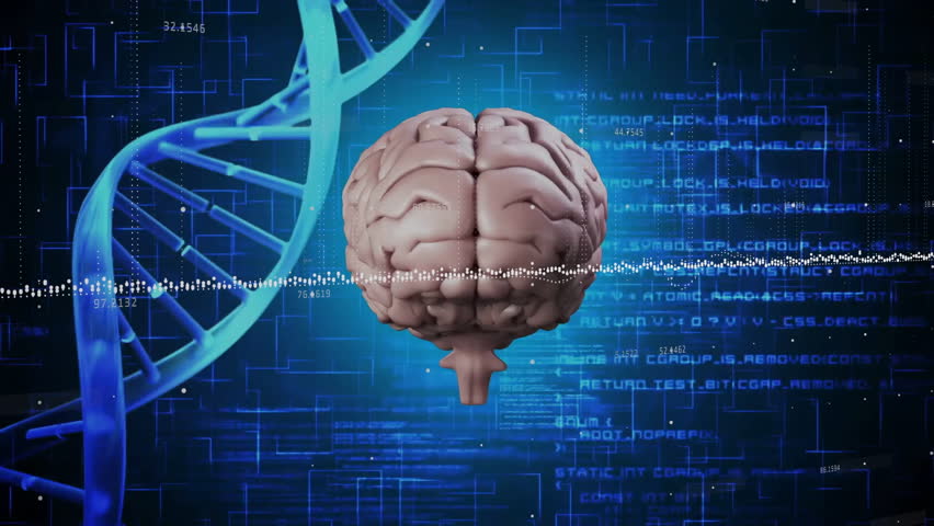 Animation of digital brain and dna strand over data processing. Science, technology and digital interface concept digitally generated video. - Powered by Shutterstock - Get 15% off with code: PIKWIZARD15