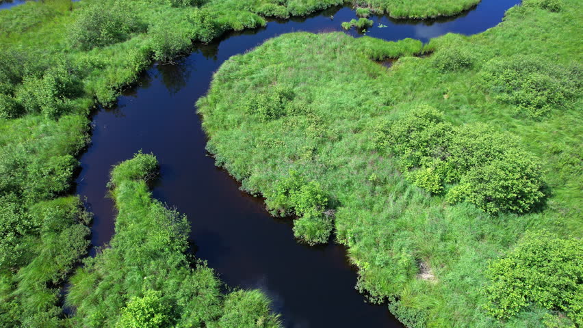 Aerial shot of stream or creek at crown land of Kents Mill Road and N Lake Rd, near Pickerel Lake area, Ontario, Canada. Epic wild forestry pine trees and vegetation. Travel adventure during summer.