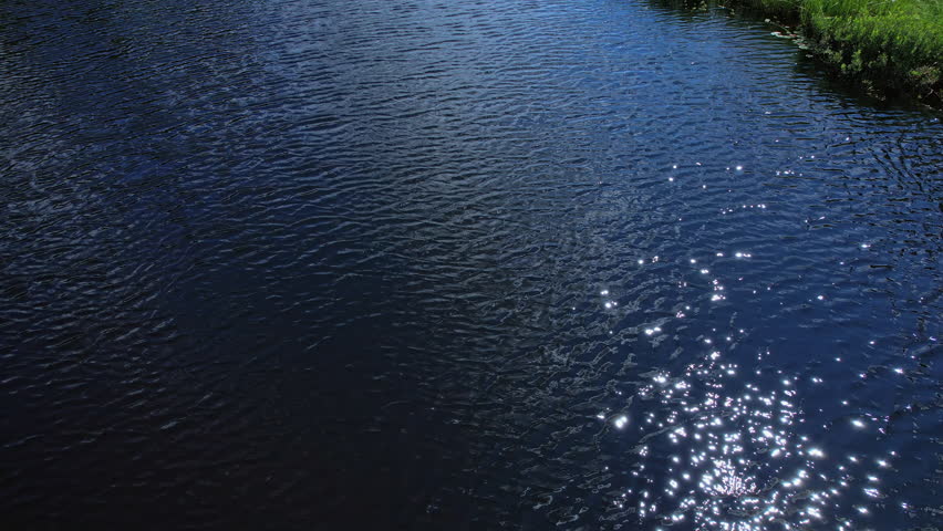 Top down view of the moving brook river in the wilderness off road, surrounded by greenery of pine trees, British Columbia, Canada, North America. Flight over stream creek.