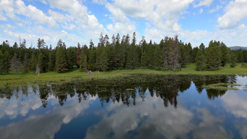 This aerial view shows a breathtaking Montana lake surrounded by lush greenery and towering trees, highlighting the vibrant colors and stunning reflections of this enchanting landscape
