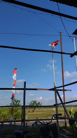Waving flags of indonesia.in the edge of street. Red, white. Bendera. August, 17th