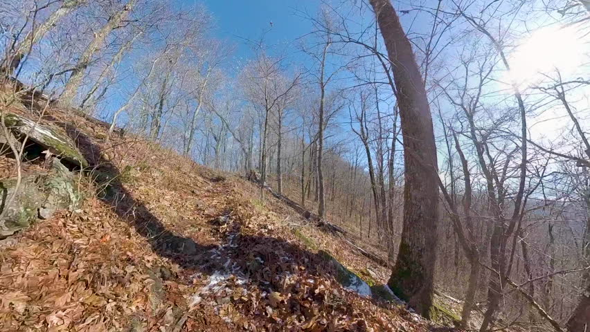 Snow Starts to Cover Trail in Smoky Mountains
