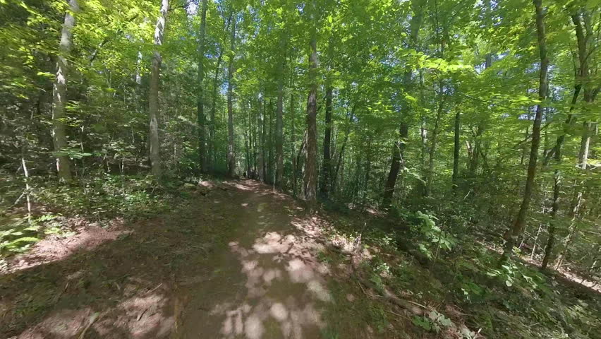 Sun and Shadows Across Trail in the Smokies in Summer